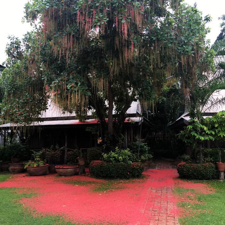 סוקותאי Orchid Hibiscus Guest House מראה חיצוני תמונה